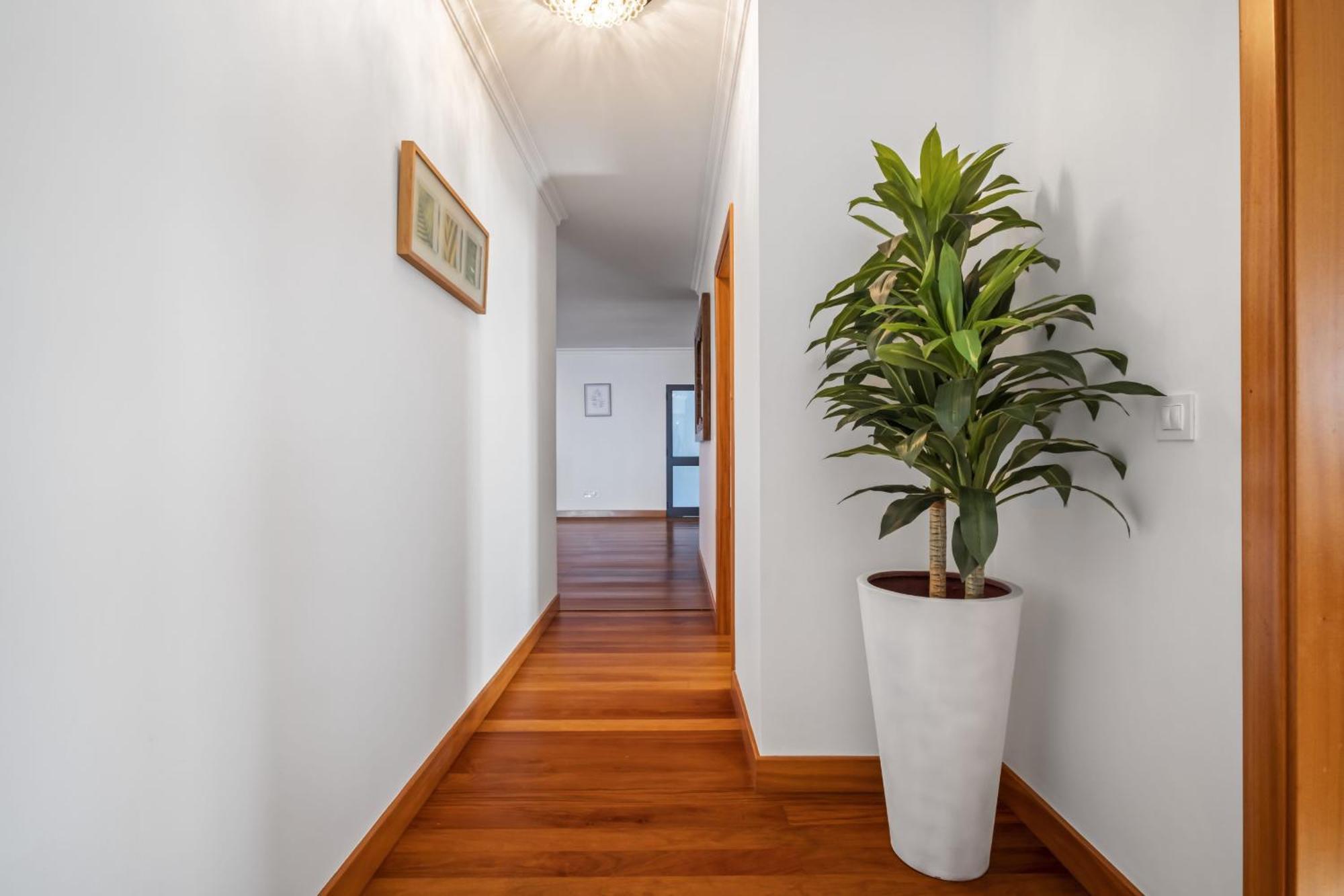 Faias Haven By Madeira Sun Travel Villa Arco da Calheta  Exterior photo